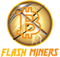 Flash Miners logo